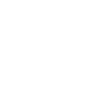 Icono Branding
